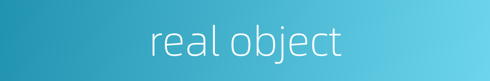 real object的同义词