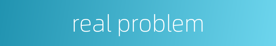 real problem的同义词