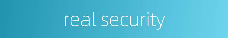 real security的同义词