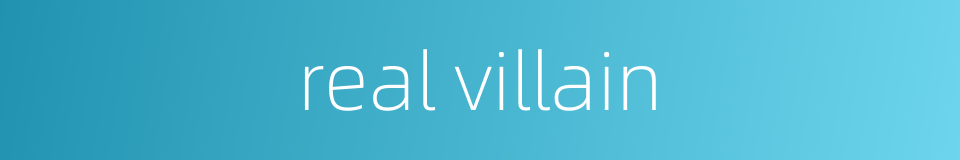 real villain的同义词
