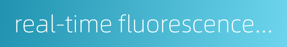 real-time fluorescence quantification的同义词