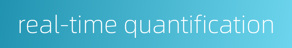 real-time quantification的同义词