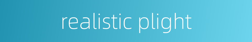 realistic plight的同义词