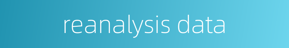 reanalysis data的同义词