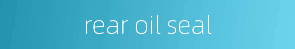 rear oil seal的同义词