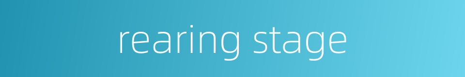 rearing stage的同义词