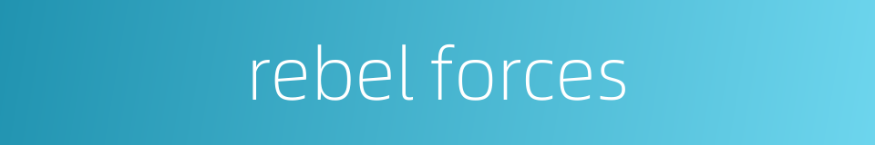 rebel forces的同义词