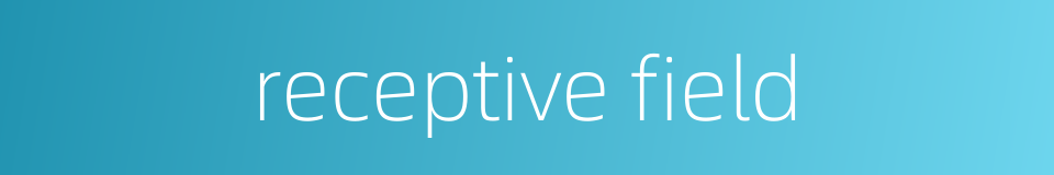 receptive field的同义词