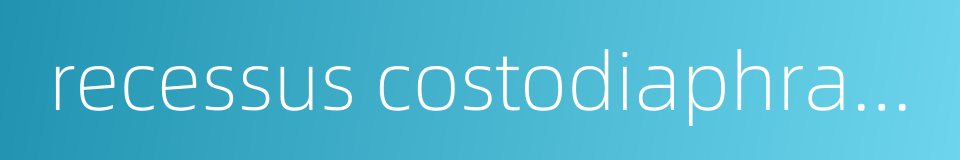 recessus costodiaphragmaticus的同义词