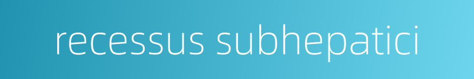 recessus subhepatici的同义词