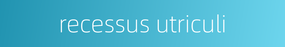 recessus utriculi的同义词