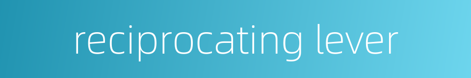reciprocating lever的同义词