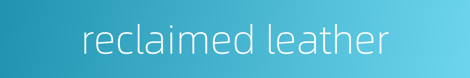 reclaimed leather的同义词