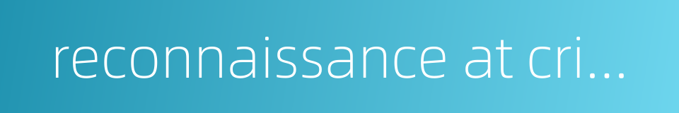 reconnaissance at criminal scene的同义词