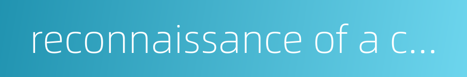 reconnaissance of a campaign nature的同义词