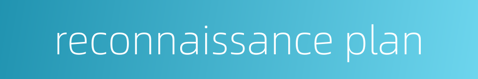 reconnaissance plan的同义词