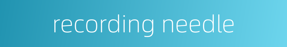 recording needle的同义词