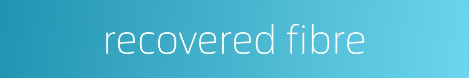 recovered fibre的同义词