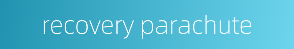 recovery parachute的同义词