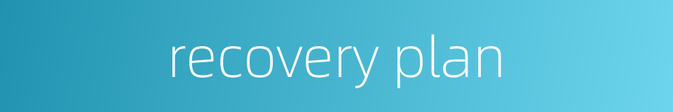 recovery plan的同义词