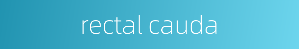 rectal cauda的同义词