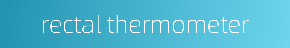rectal thermometer的同义词