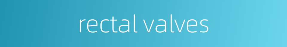 rectal valves的同义词