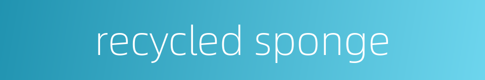 recycled sponge的同义词
