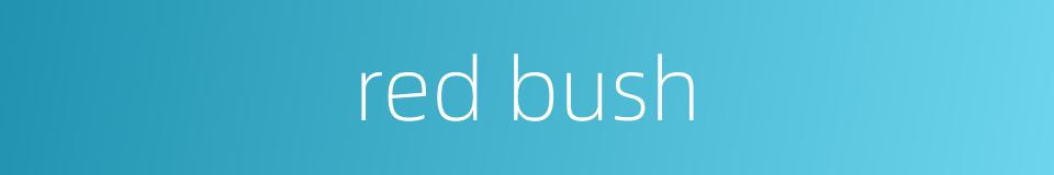 red bush的同义词
