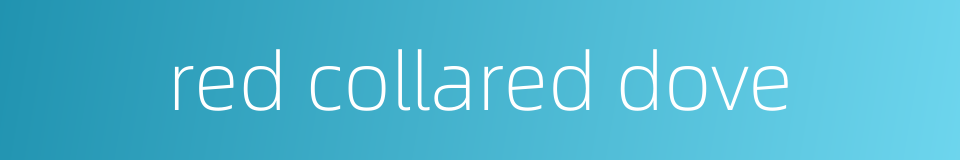red collared dove的同义词