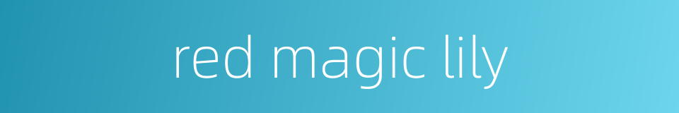 red magic lily的同义词