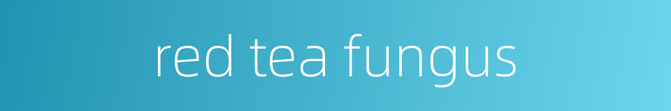 red tea fungus的同义词