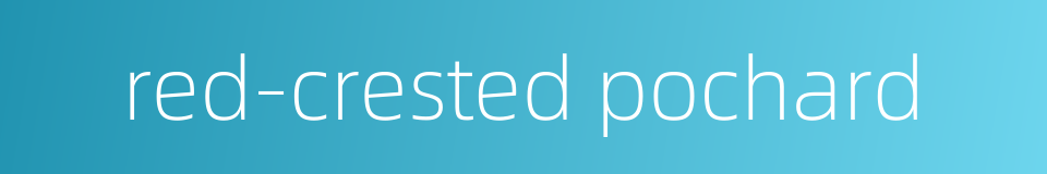 red-crested pochard的同义词