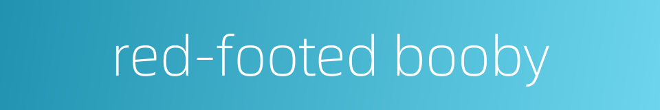 red-footed booby的同义词