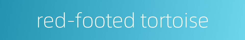 red-footed tortoise的同义词