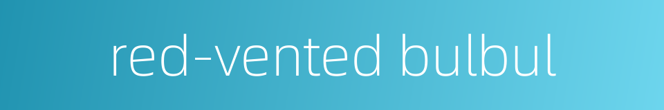 red-vented bulbul的同义词