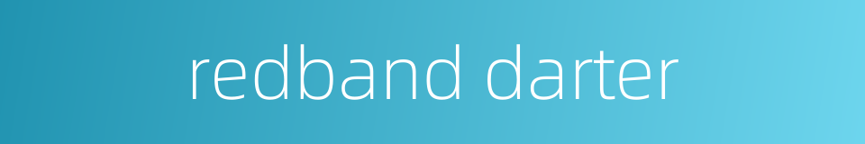 redband darter的同义词