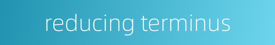 reducing terminus的同义词