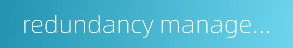 redundancy management的同义词