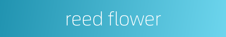 reed flower的同义词