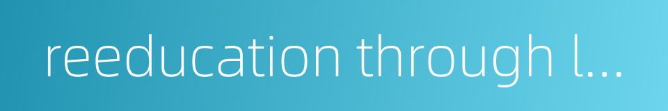 reeducation through labor system的同义词