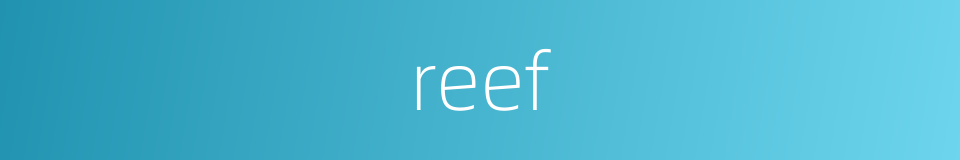 reef的意思