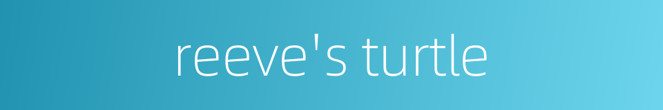 reeve's turtle的同义词