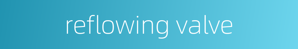reflowing valve的同义词