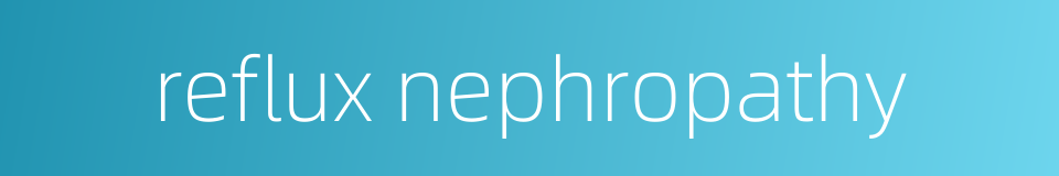 reflux nephropathy的同义词