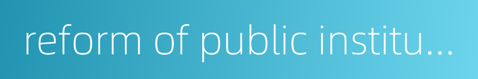 reform of public institutions的同义词