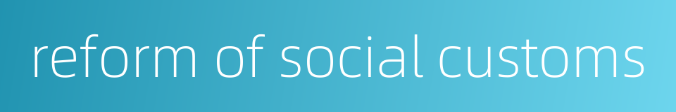 reform of social customs的同义词