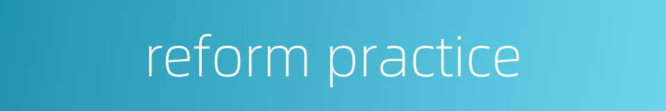 reform practice的同义词