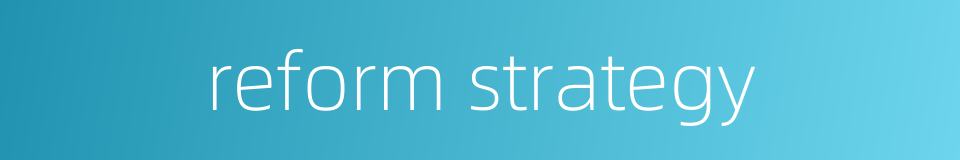 reform strategy的同义词