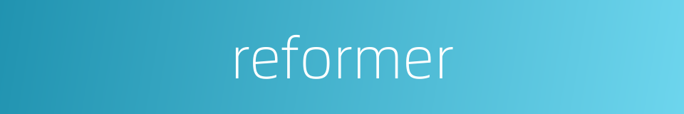 reformer的同义词